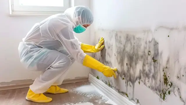 Technician in protective suit crouching to scrub mold from a baseboard wall