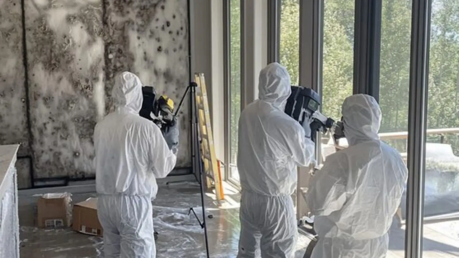 Crew in white protective suits assessing a mold-damaged room with a camera and equipment