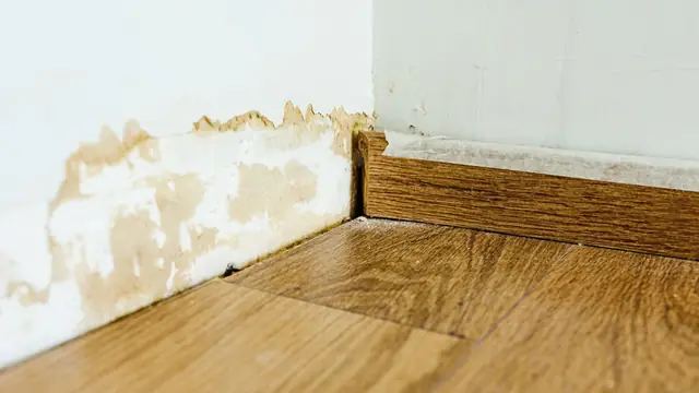 Water stain climbing a white wall above a lifted wood baseboard and laminate floor